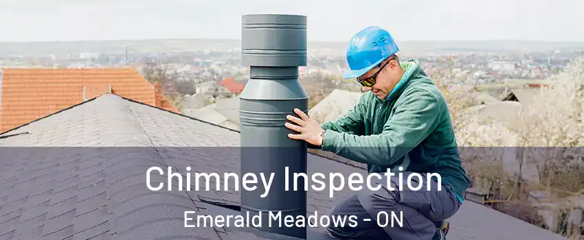 Chimney Inspection Emerald Meadows - ON
