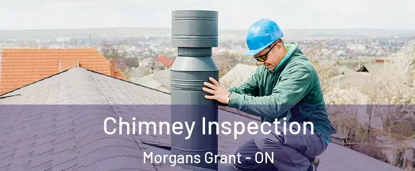  Chimney Inspection Morgans Grant - ON