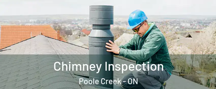 Chimney Inspection Poole Creek - ON