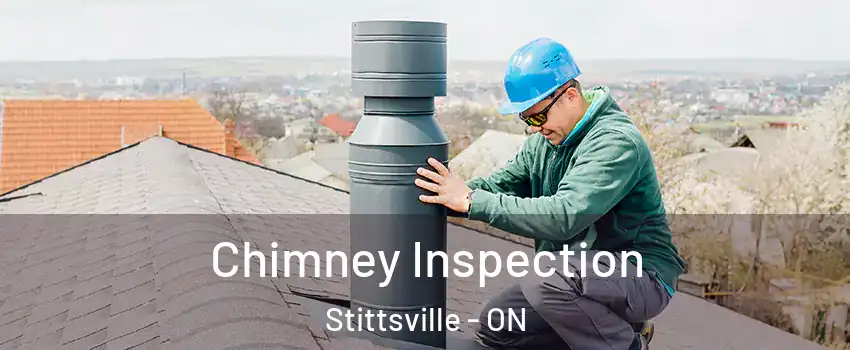  Chimney Inspection Stittsville - ON