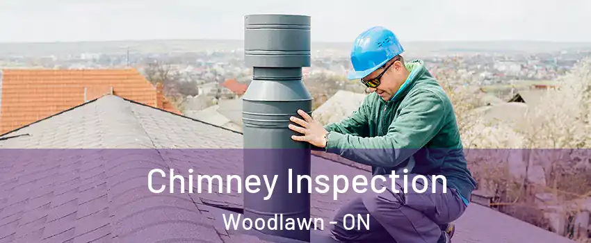 Chimney Inspection Woodlawn - ON