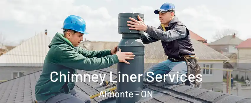  Chimney Liner Services Almonte - ON