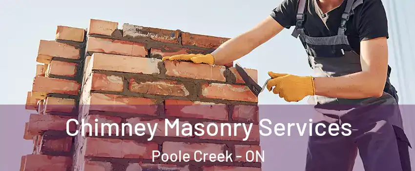  Chimney Masonry Services Poole Creek - ON