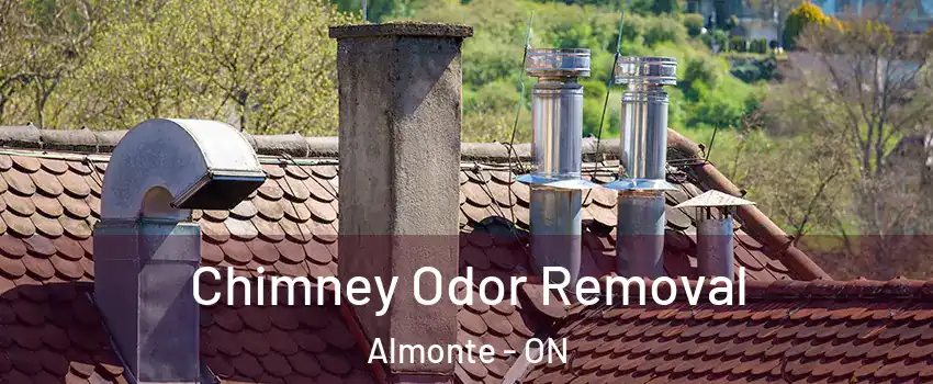  Chimney Odor Removal Almonte - ON