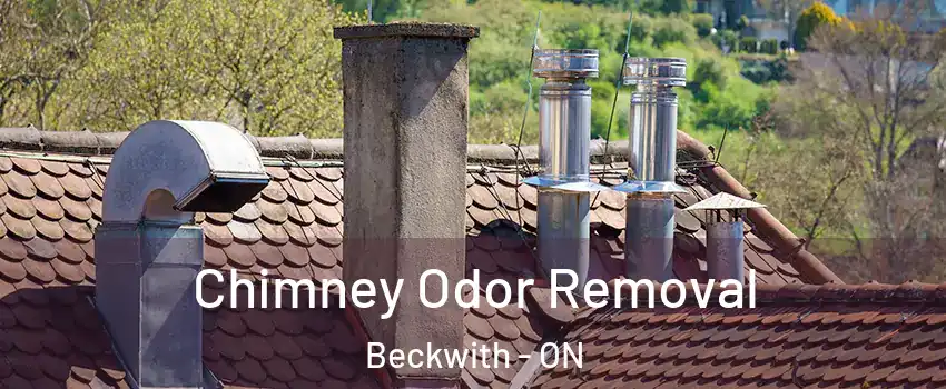  Chimney Odor Removal Beckwith - ON