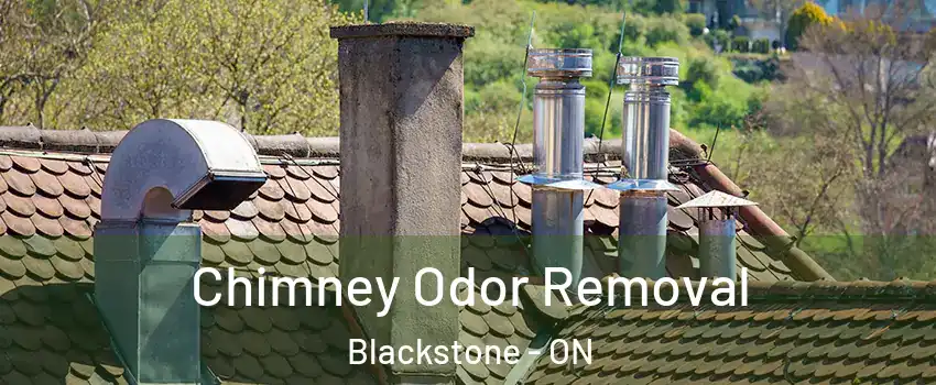  Chimney Odor Removal Blackstone - ON