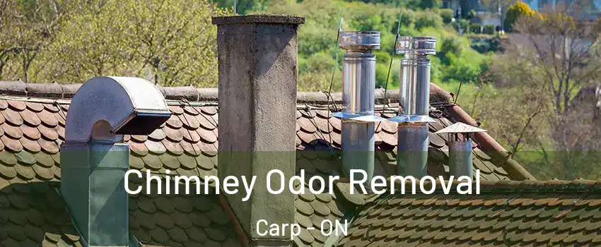  Chimney Odor Removal Carp - ON