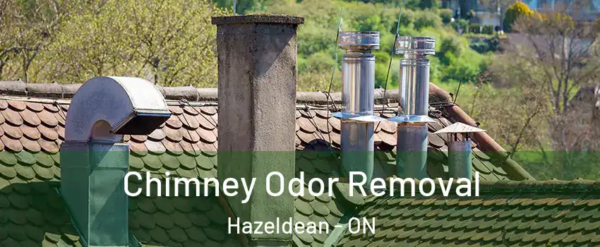  Chimney Odor Removal Hazeldean - ON