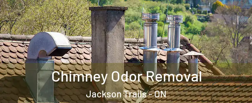  Chimney Odor Removal Jackson Trails - ON