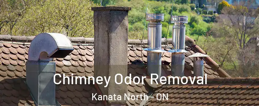  Chimney Odor Removal Kanata North - ON