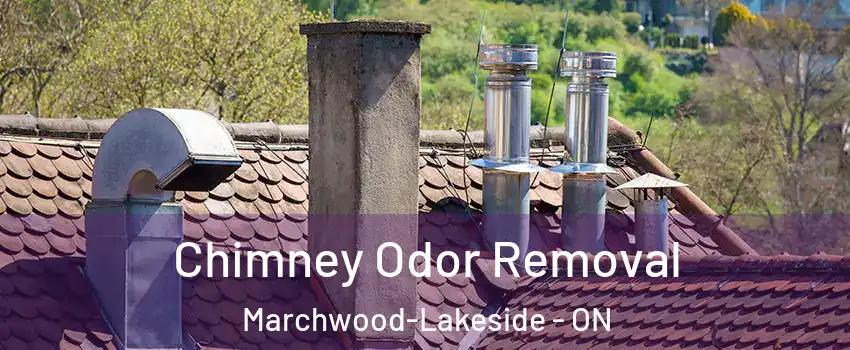  Chimney Odor Removal Marchwood-Lakeside - ON