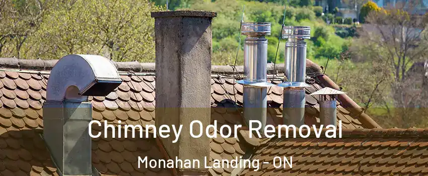 Chimney Odor Removal Monahan Landing - ON