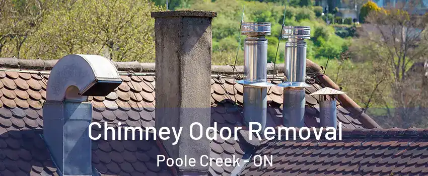  Chimney Odor Removal Poole Creek - ON