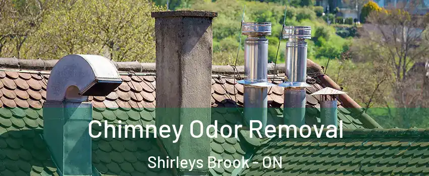  Chimney Odor Removal Shirleys Brook - ON
