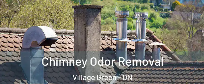  Chimney Odor Removal Village Green - ON