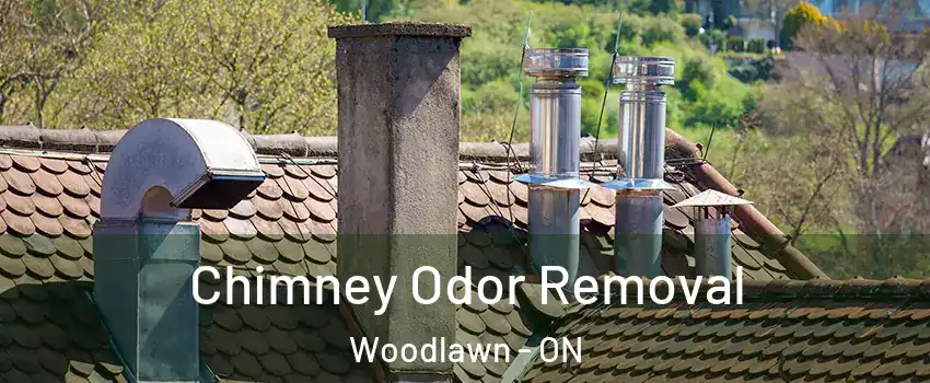 Chimney Odor Removal Woodlawn - ON