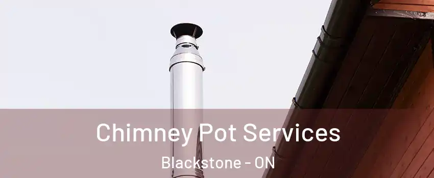  Chimney Pot Services Blackstone - ON