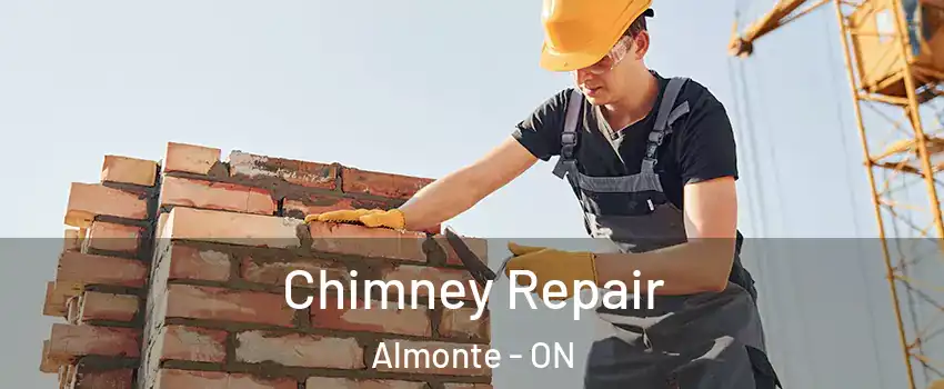  Chimney Repair Almonte - ON