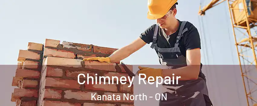  Chimney Repair Kanata North - ON