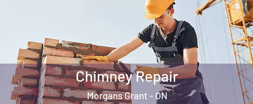  Chimney Repair Morgans Grant - ON