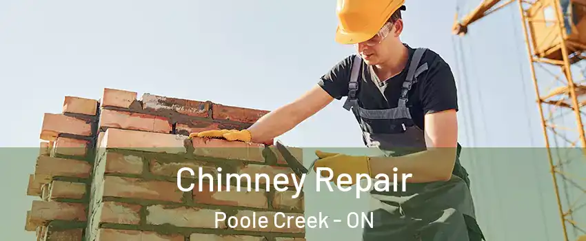 Chimney Repair Poole Creek - ON