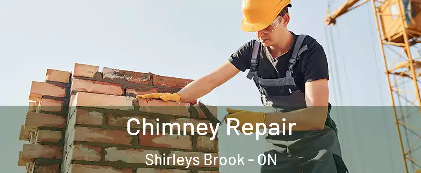  Chimney Repair Shirleys Brook - ON
