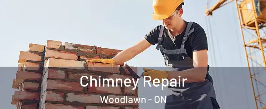  Chimney Repair Woodlawn - ON