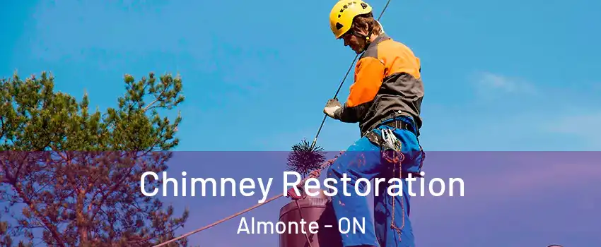  Chimney Restoration Almonte - ON