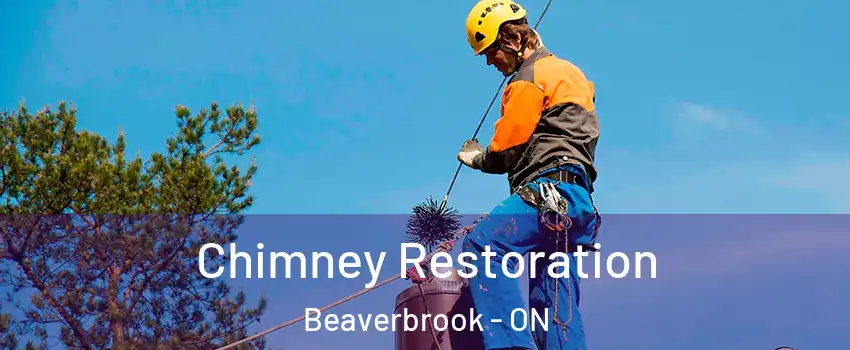  Chimney Restoration Beaverbrook - ON