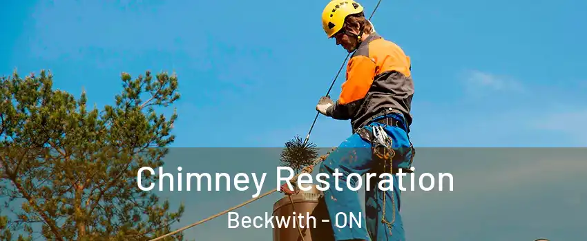  Chimney Restoration Beckwith - ON