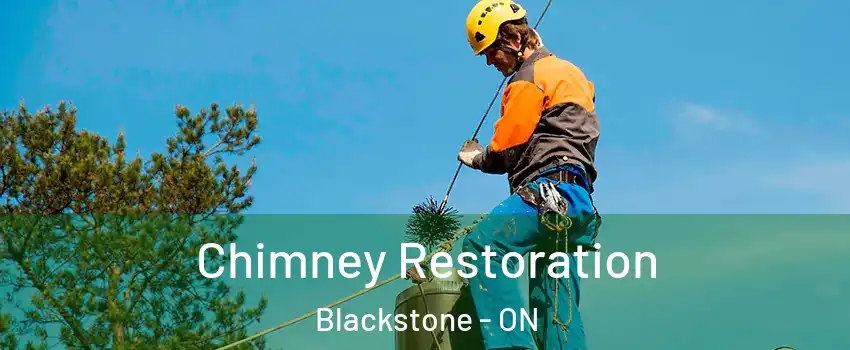  Chimney Restoration Blackstone - ON