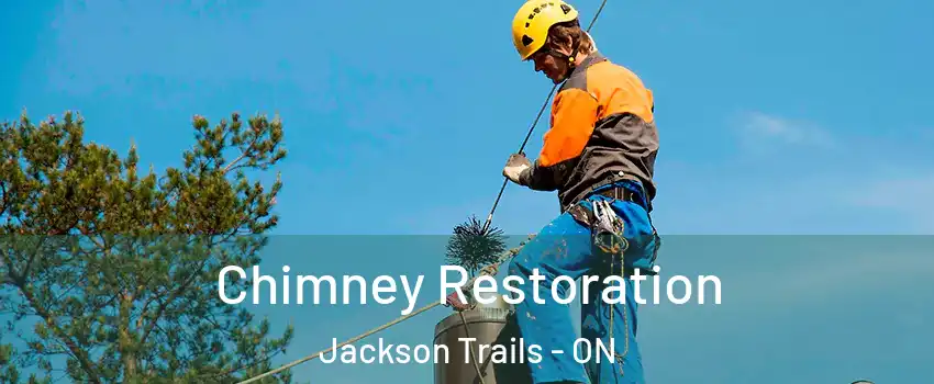  Chimney Restoration Jackson Trails - ON