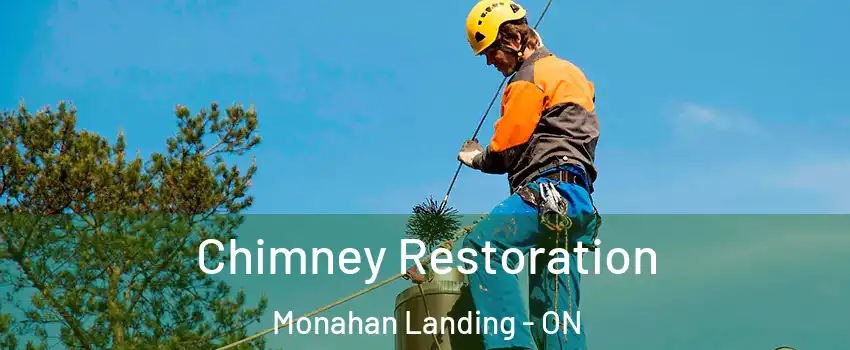 Chimney Restoration Monahan Landing - ON
