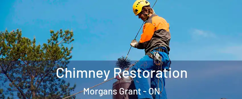  Chimney Restoration Morgans Grant - ON