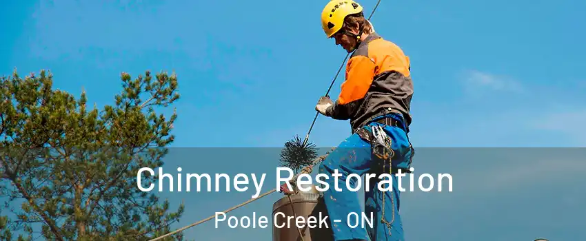  Chimney Restoration Poole Creek - ON