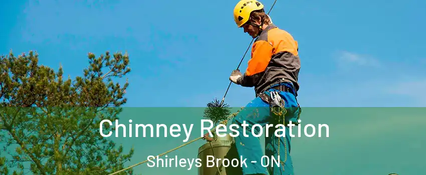  Chimney Restoration Shirleys Brook - ON
