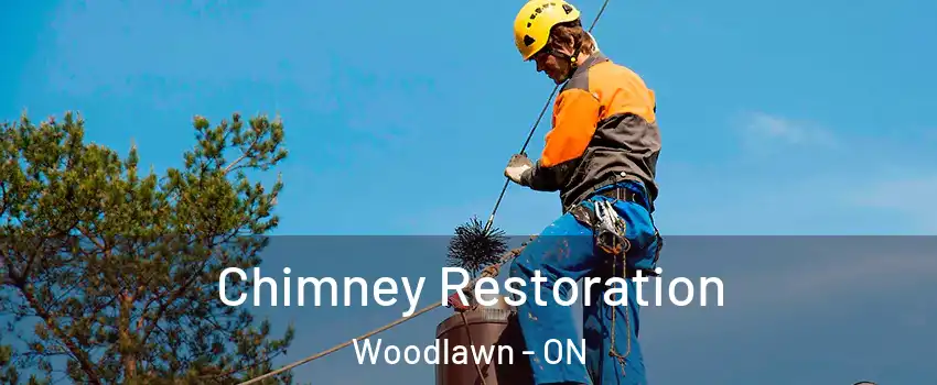  Chimney Restoration Woodlawn - ON