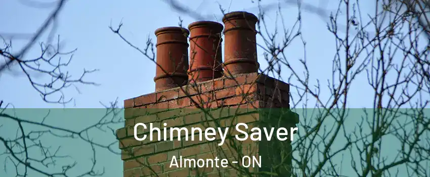  Chimney Saver Almonte - ON