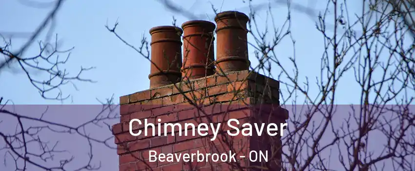  Chimney Saver Beaverbrook - ON