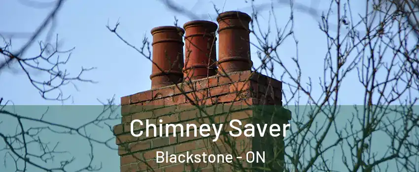  Chimney Saver Blackstone - ON