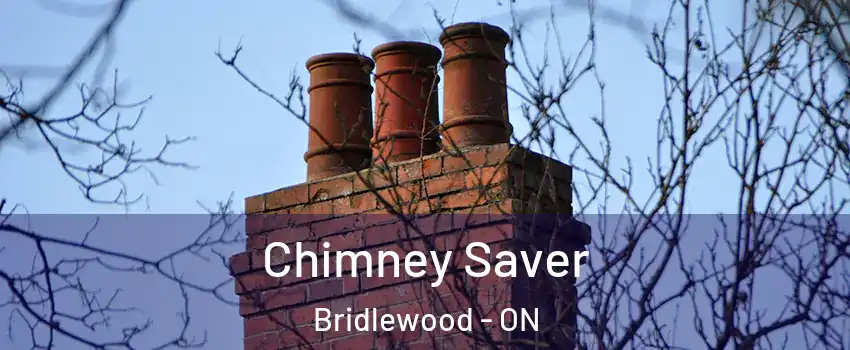  Chimney Saver Bridlewood - ON