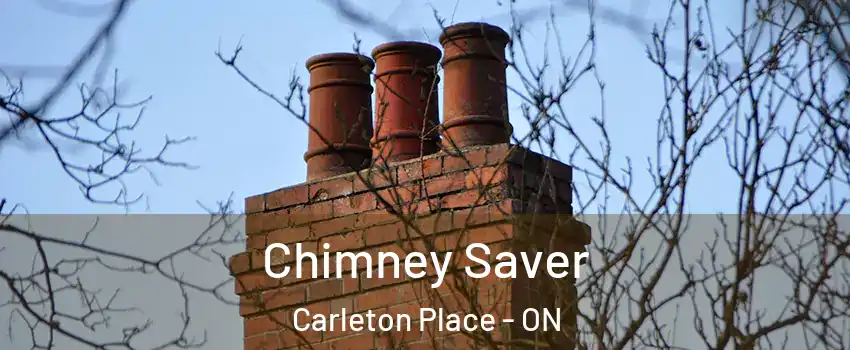  Chimney Saver Carleton Place - ON