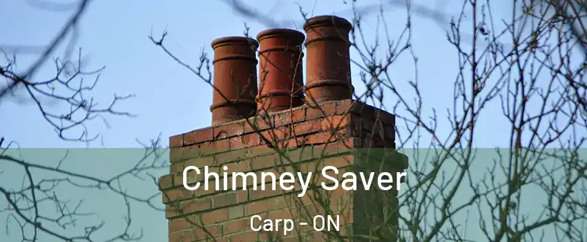  Chimney Saver Carp - ON