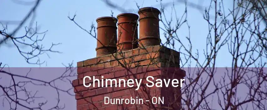  Chimney Saver Dunrobin - ON