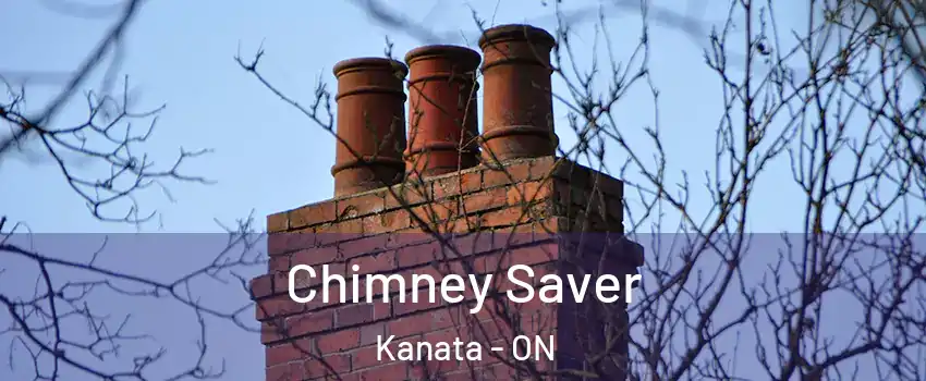  Chimney Saver Kanata - ON