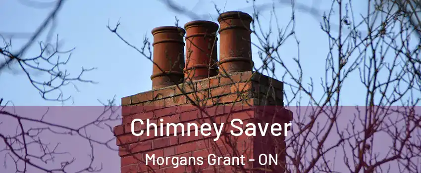  Chimney Saver Morgans Grant - ON