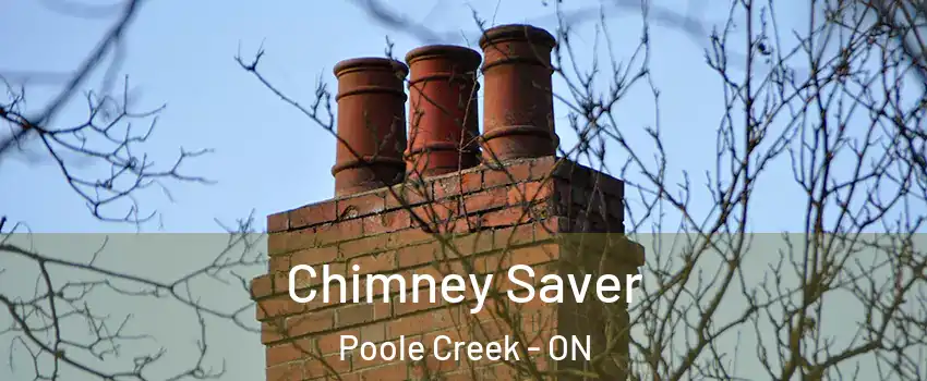  Chimney Saver Poole Creek - ON