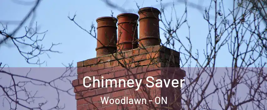  Chimney Saver Woodlawn - ON
