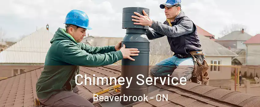  Chimney Service Beaverbrook - ON