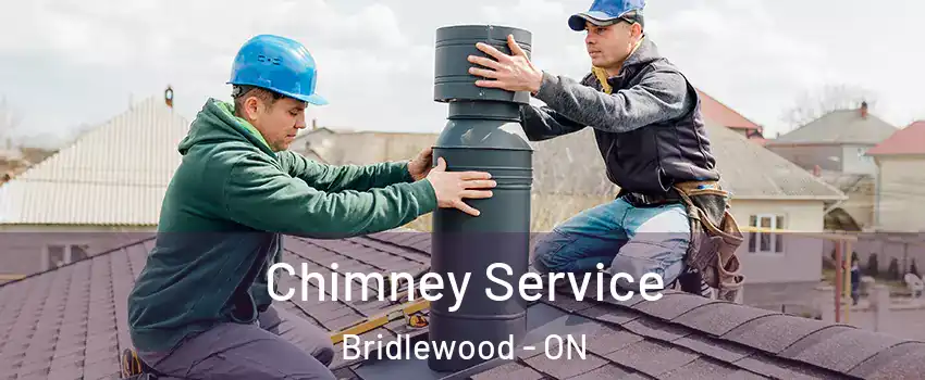  Chimney Service Bridlewood - ON